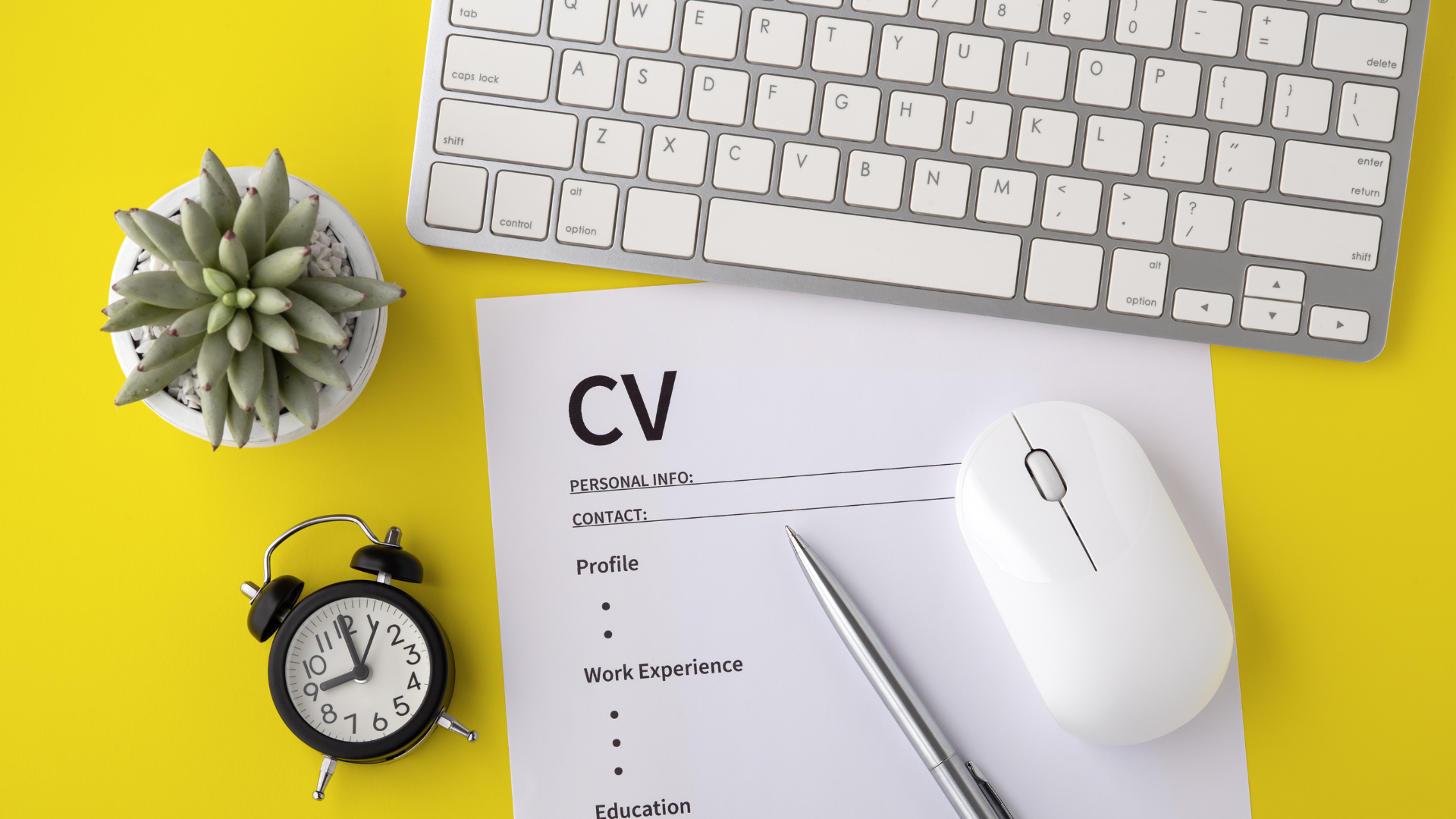 CV Creation & Redesign